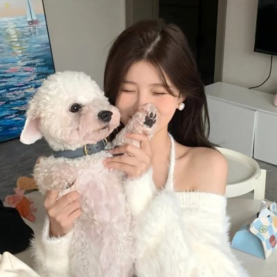 里普哈根传奇 海报