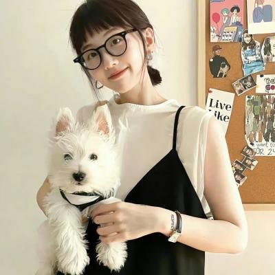 冰狗任务 海报